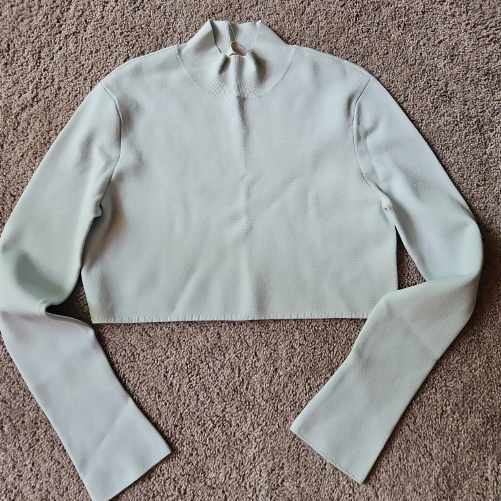 Elegant Mint Green Cropped Top